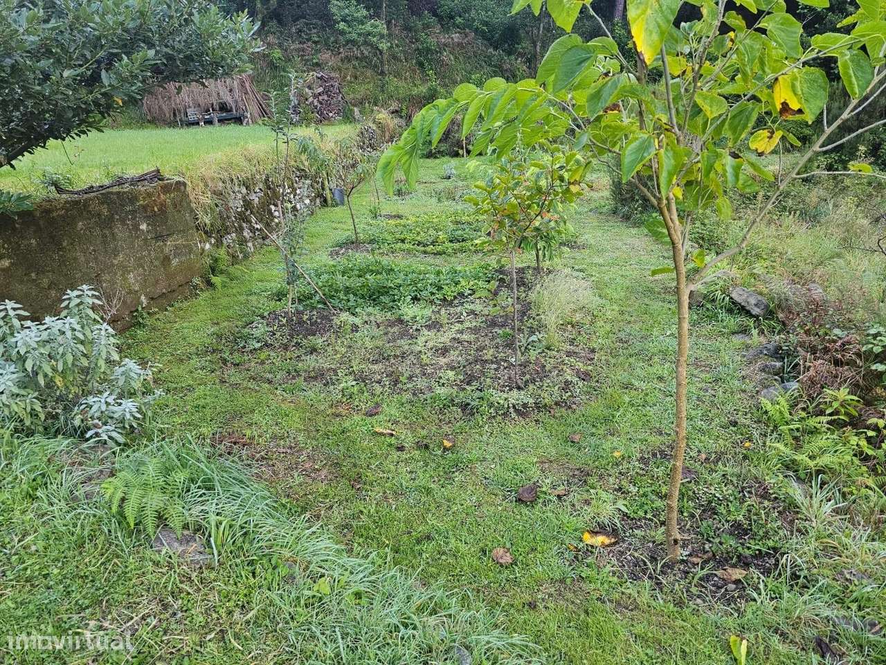 Terreno Rústico no Seixal com Projeto approvado para palheiro – Porto - Grande imagem: 5/13