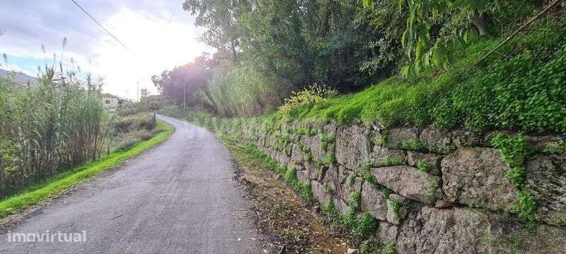 Quinta / Baião, Rio Douro - Grande imagem: 5/20
