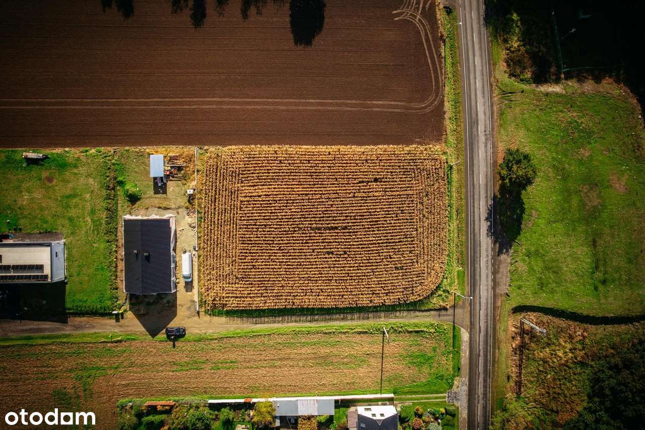 Kiedy szukasz ciszy, natury w  nowoczesnej zabudowie jednorodzinnej-3