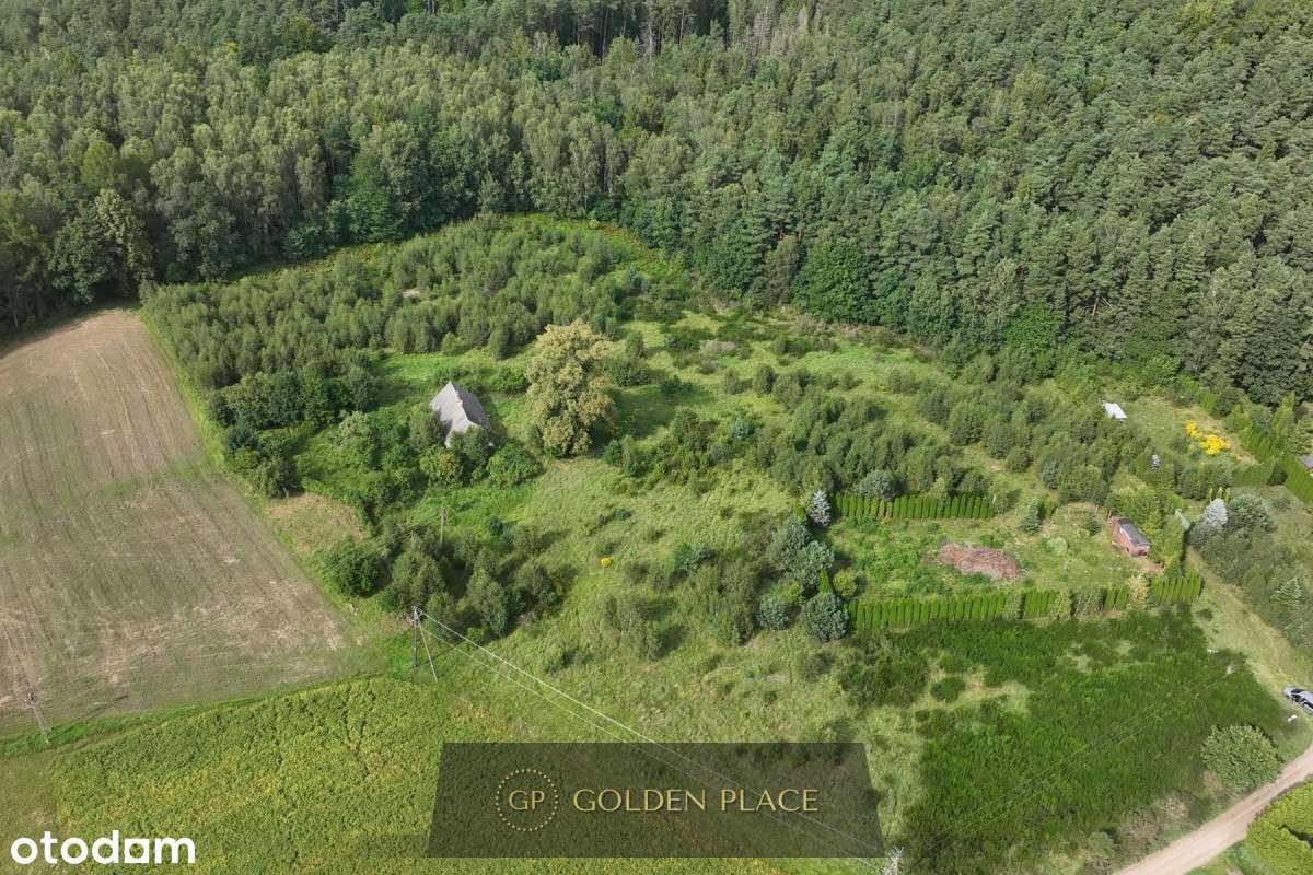 Ostatnia działka - Pełny obrazek: 5/20