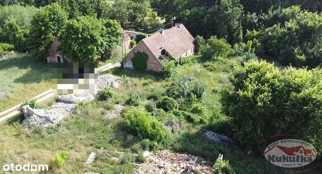 Działka inwestycyjna 5000 m² | Swadzim - Pełny obrazek: 4/7