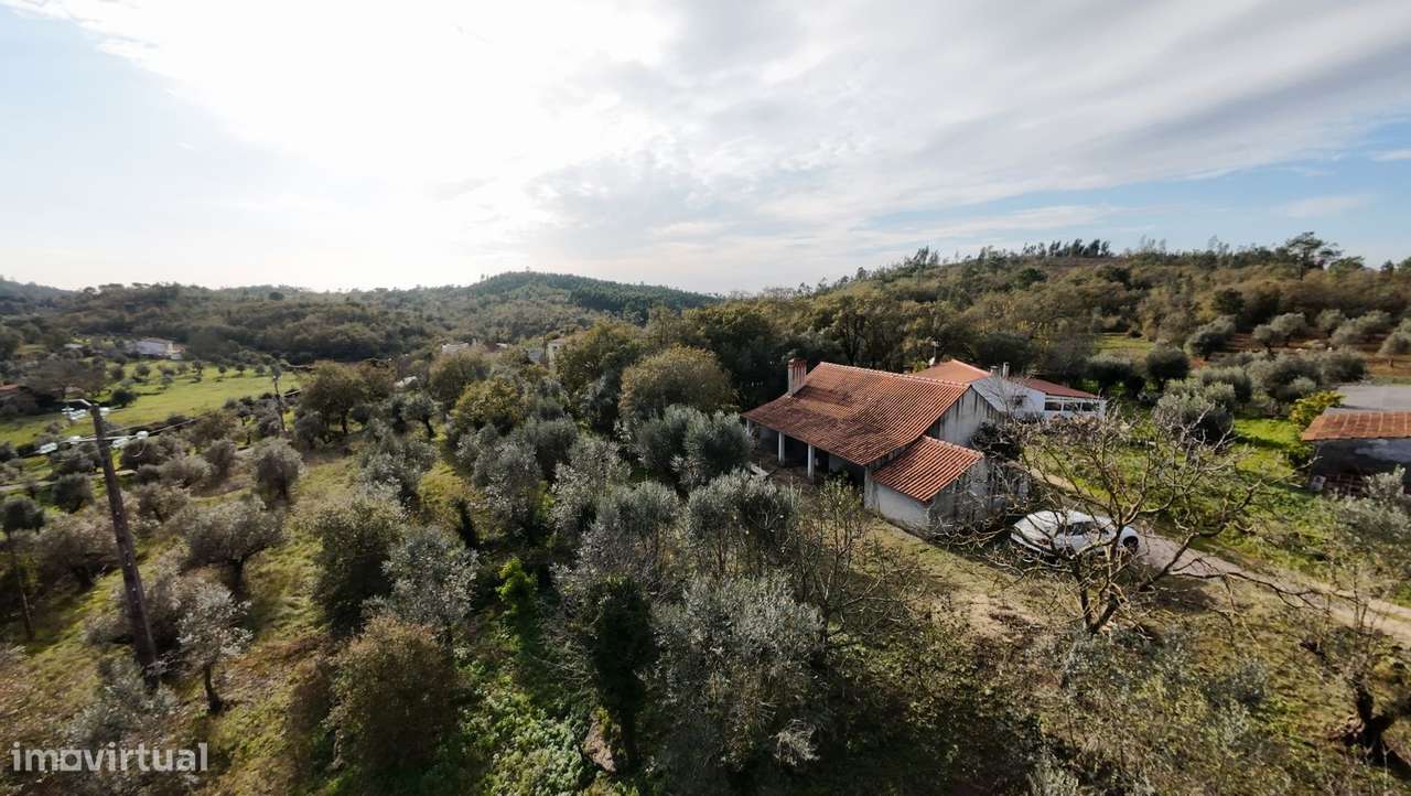 Magnífica Quinta com casa em pedra, um terreno de 5090 m2 e furo - Grande imagem: 5/60