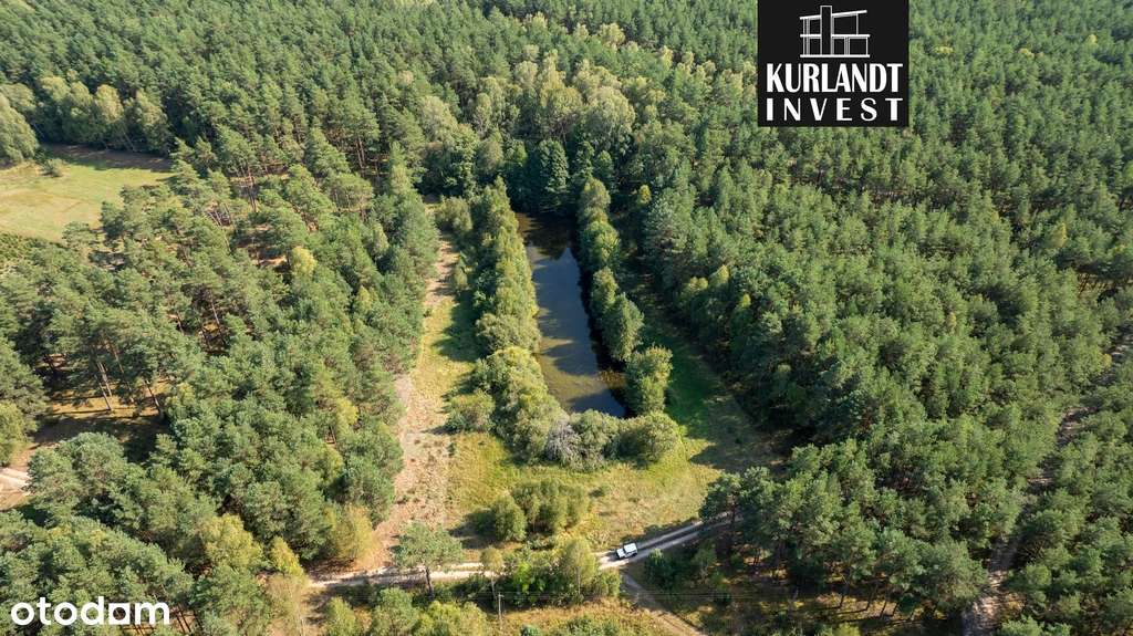 Działka 1,9 ha blisko jeziora/ Kanał Brdy - Pełny obrazek: 5/9