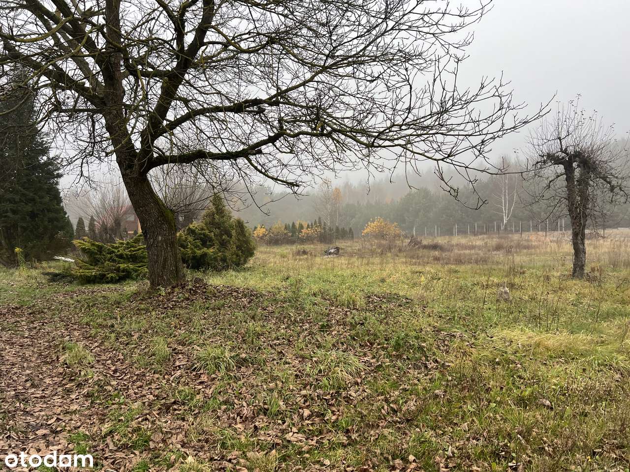 Atrakcyjna działka | Przykory | OKAZJA-5