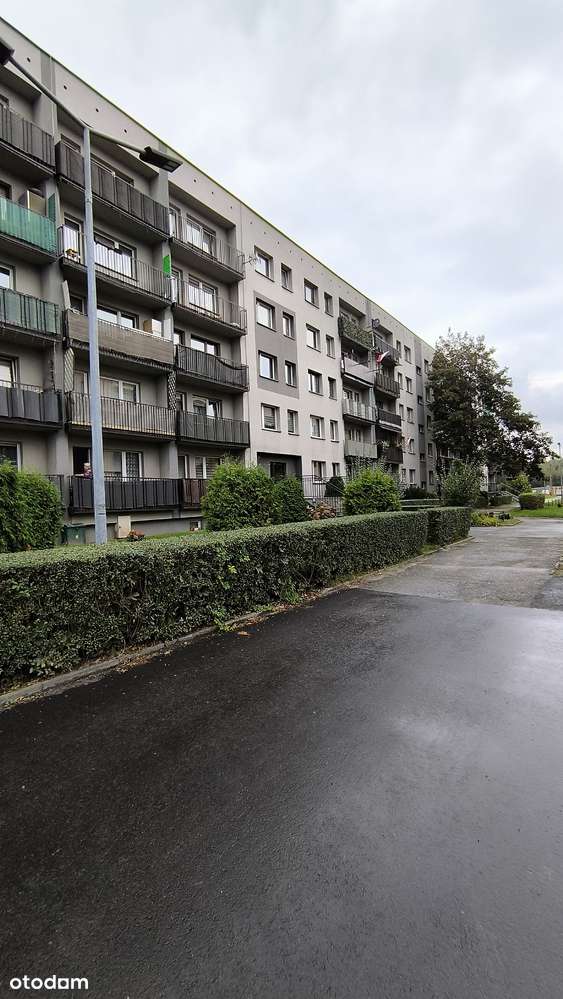 przytulny pokój z kuchnią-8