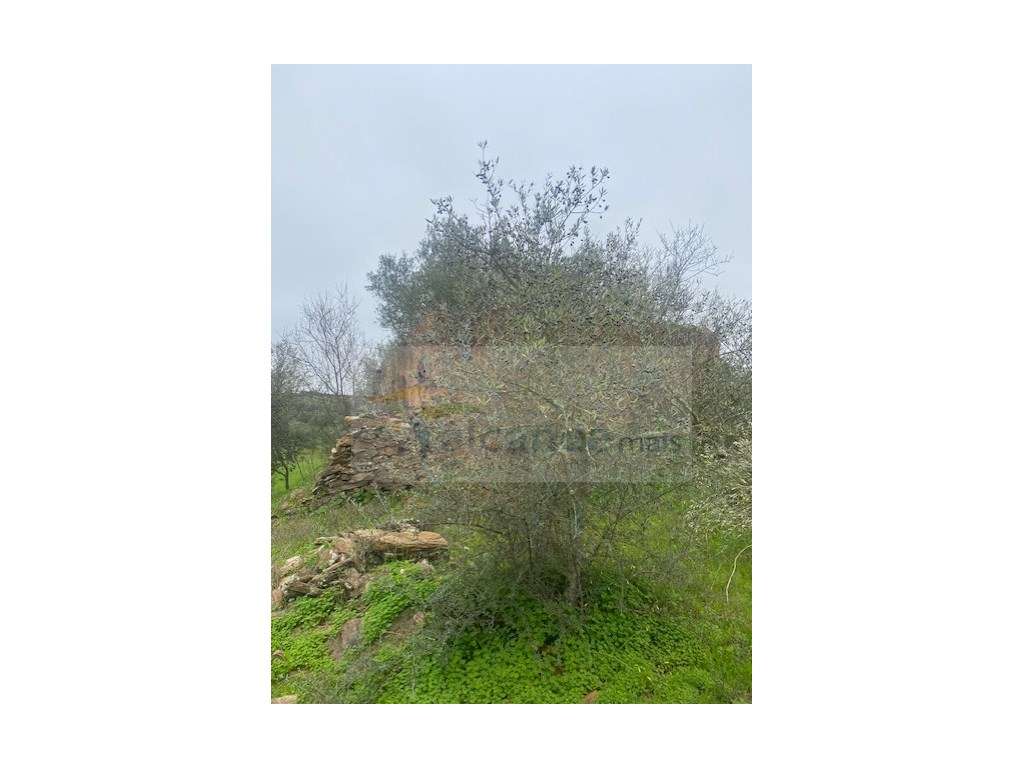 Terreno Misto em Vila Verde de Ficalho - Serpa (Beja, Portugal) - Grande imagem: 3/11