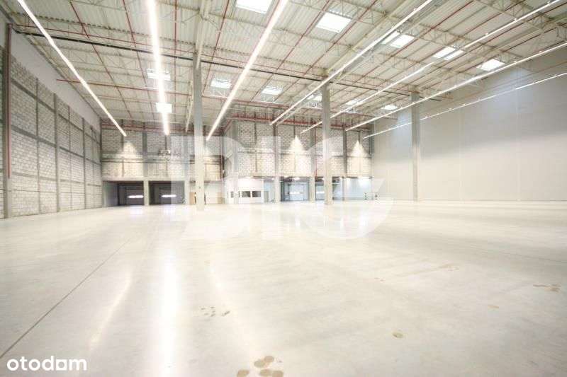 Magazyn przy obwodnicy Trójmiasta - Pełny obrazek: 4/4