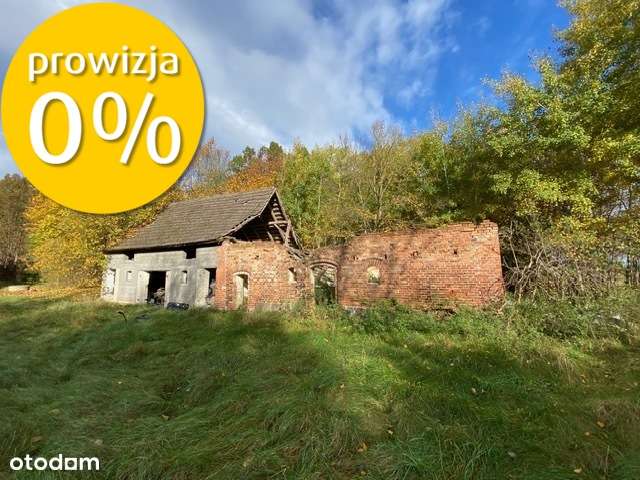 Siedlisko | 8,2 ha | Jędrzejewo k. Czarnkowa-6