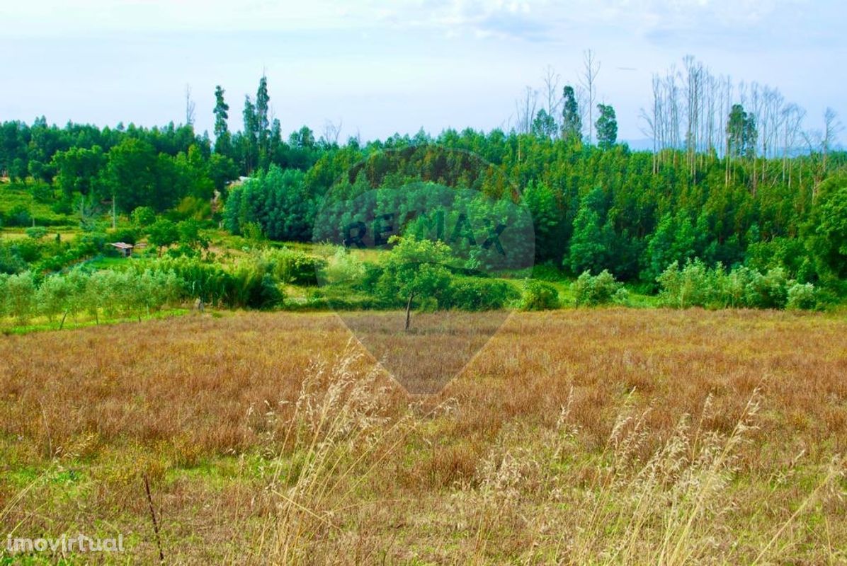 Terreno  para venda