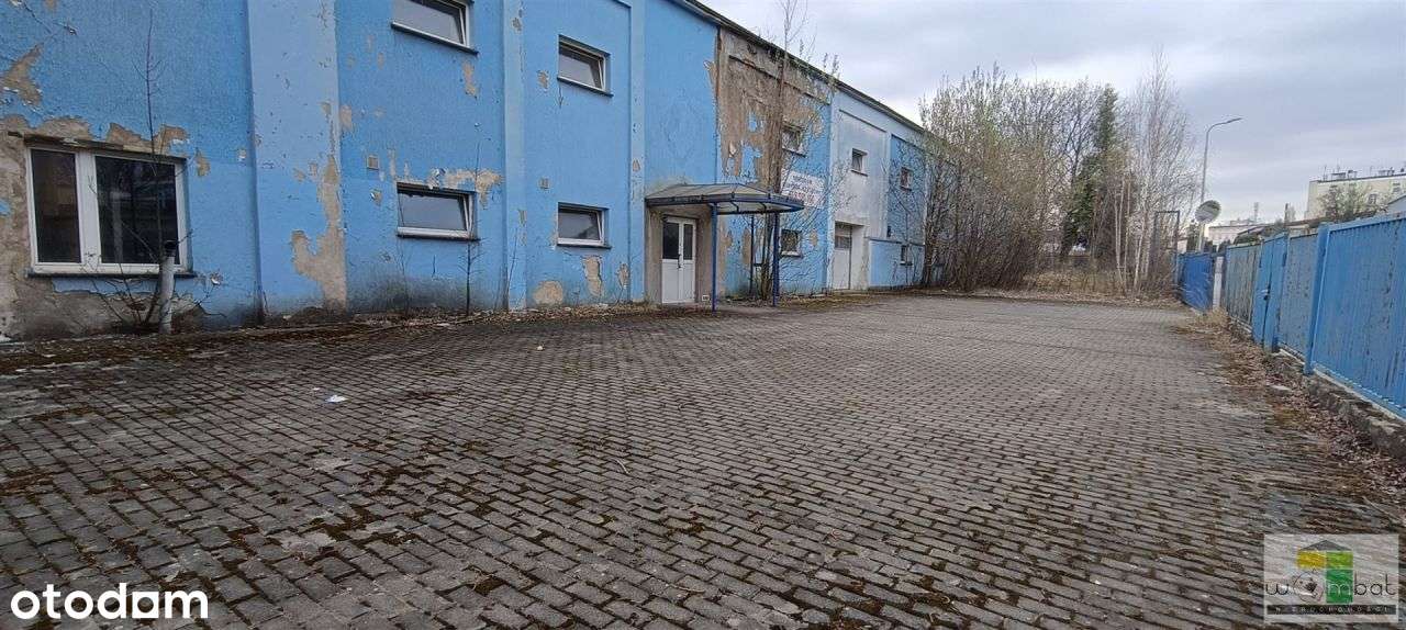 Lokal użytkowy, 1 152 m², Strzegom - Pełny obrazek: 5/13