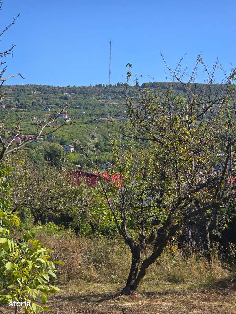 Barnova Str. Culmea Domnitei - Imagine principală: 1/4