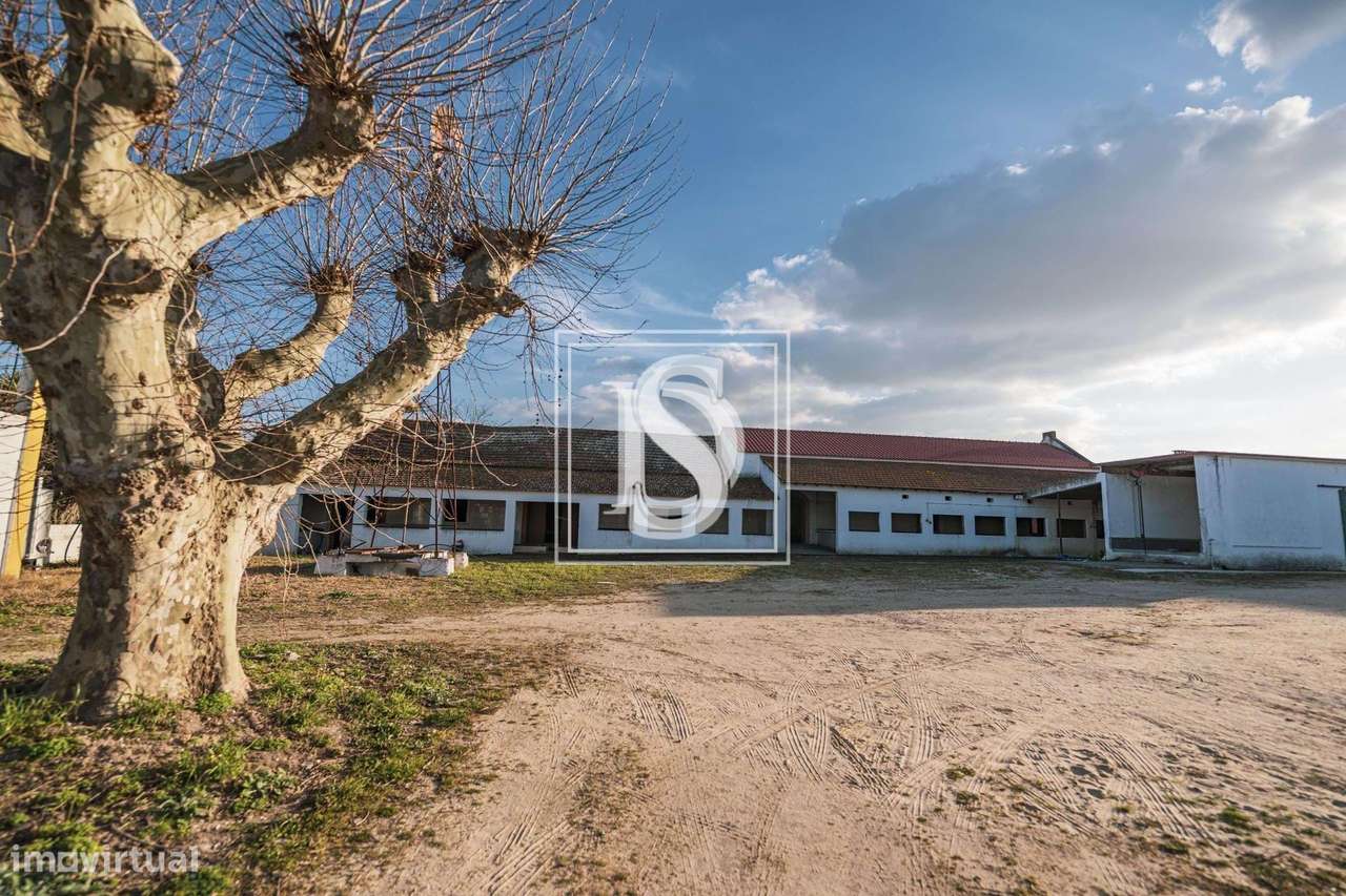 Herdade T3+2 em UDF de Poceirão e Marateca - Grande imagem: 5/29