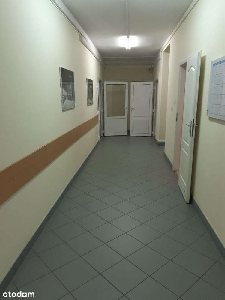 Słubice ul. Kopernika 13 powierzchnia do wynajęcia - Pełny obrazek: 4/11