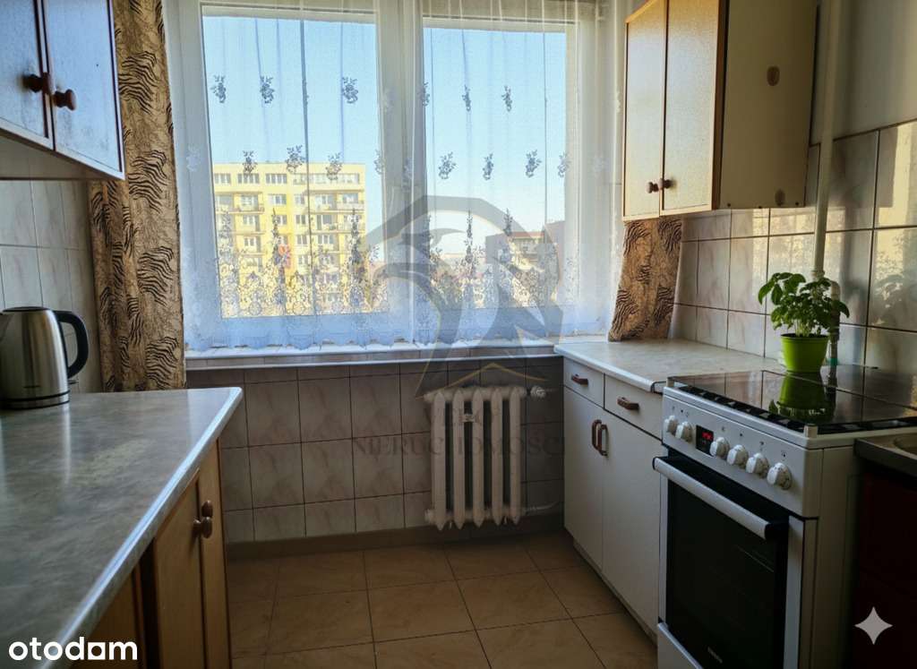 Cała sala śpiewa z nami? Twoja nowa scena w Łodzi!-15