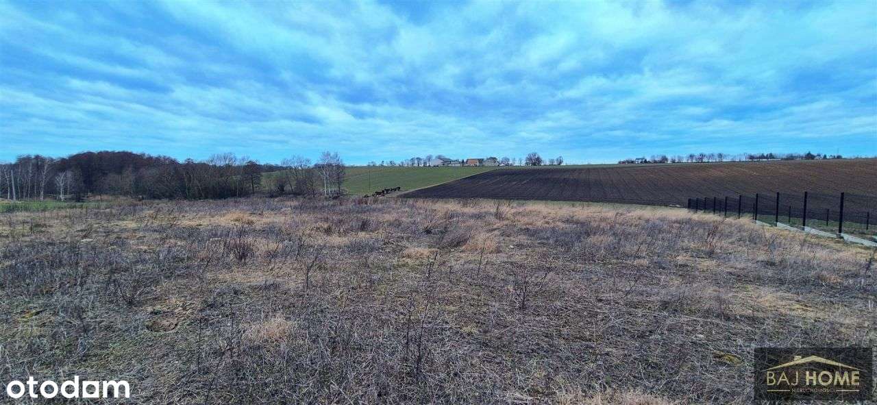 Gruta działka na sprzedaż.-1