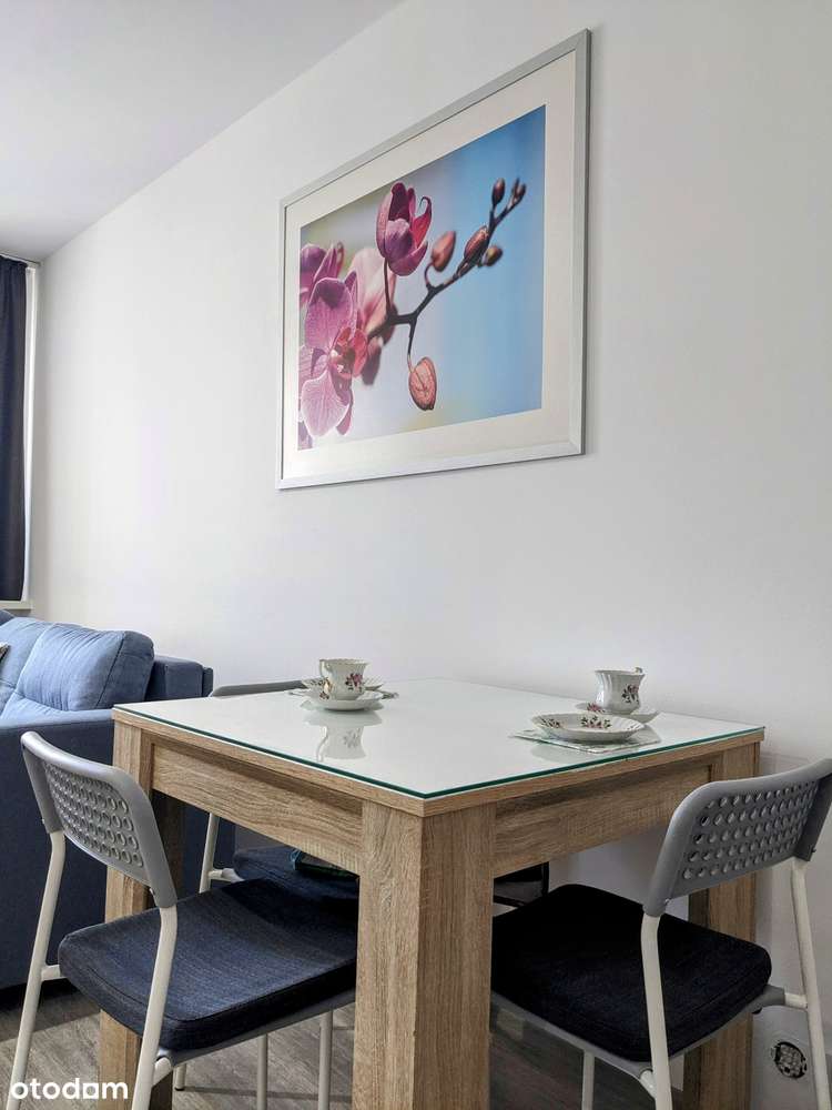 OKAZJA! Kawalerka obok STAREGO BROWARU ul. Piekary z miejscem park.-9