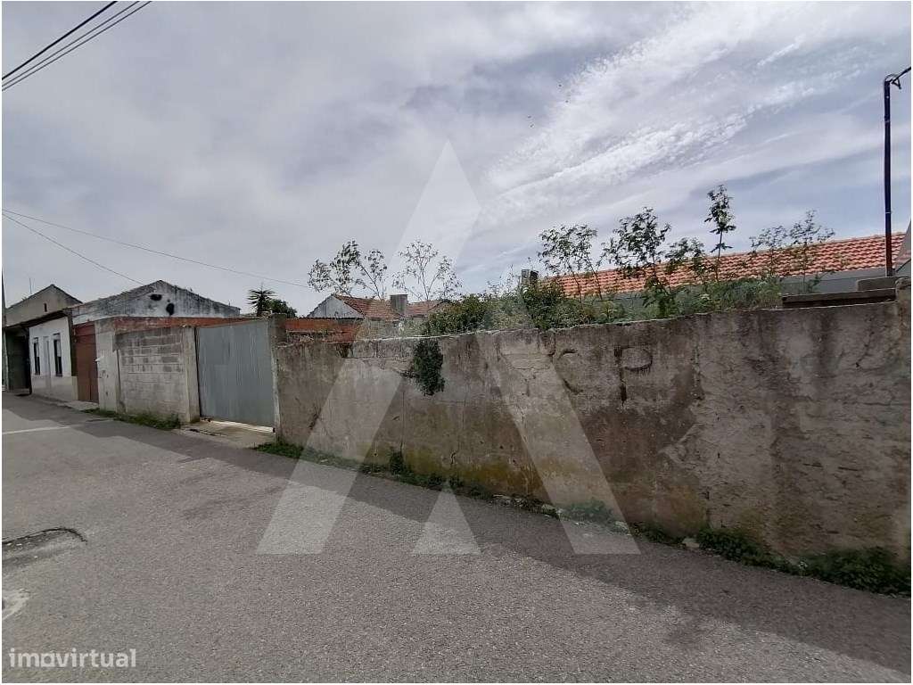 Terreno situado em Vagos - Grande imagem: 4/8