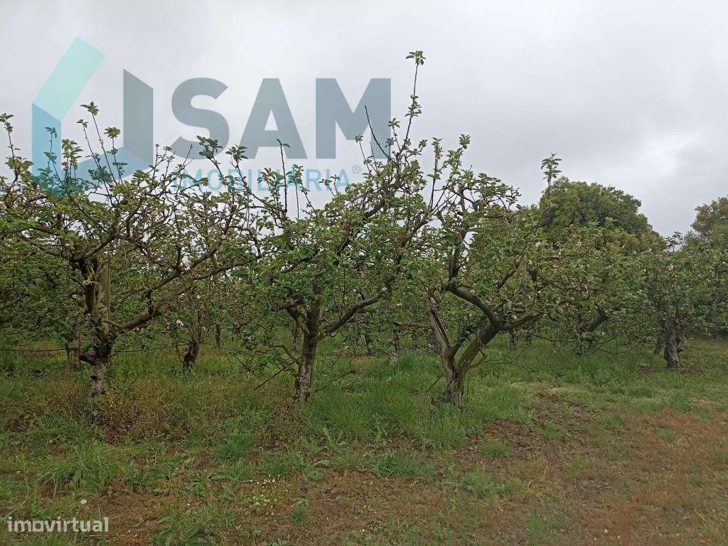 Casa Antiga para Restauro - Grande imagem: 5/8