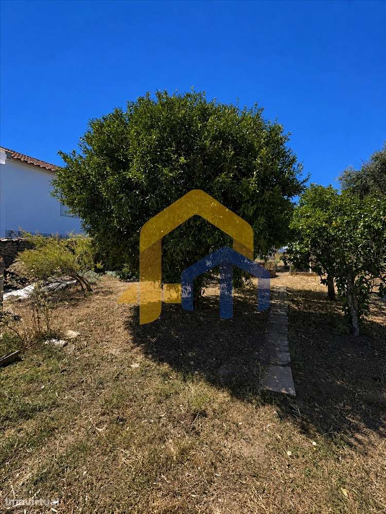 Quintinha para Recuperação Total em Glória – Estremoz-40