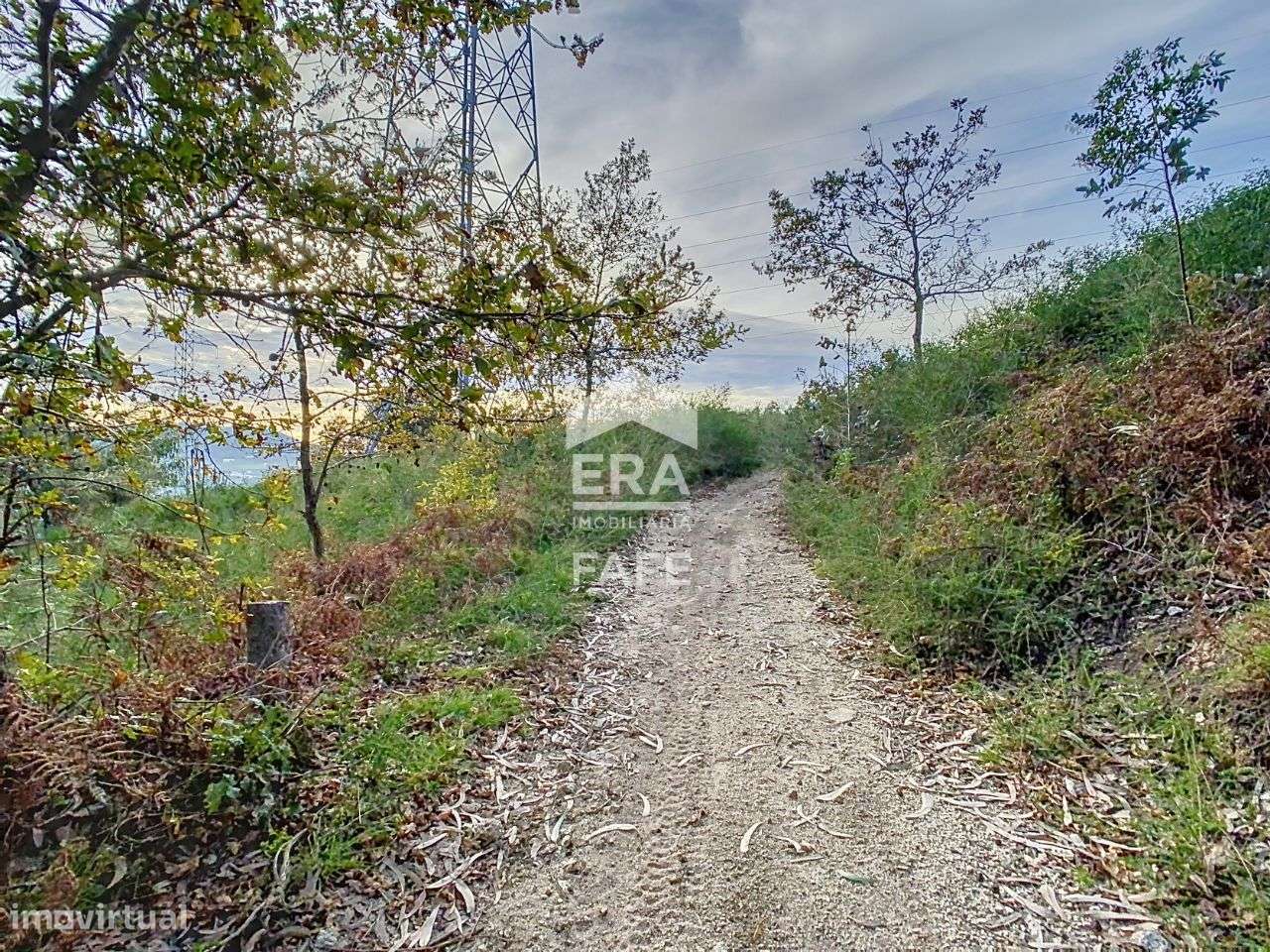 Terreno com 21.652m2 em Atães, Guimarães - Grande imagem: 5/7
