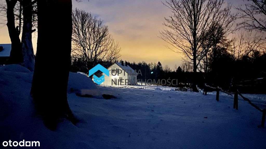 Gotowy biznes, dom dla rodziny lub inwestycja-8