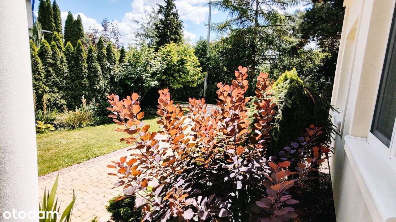 Dla Wymagających. Rezydencja w Brwinowie - Pełny obrazek: 5/12