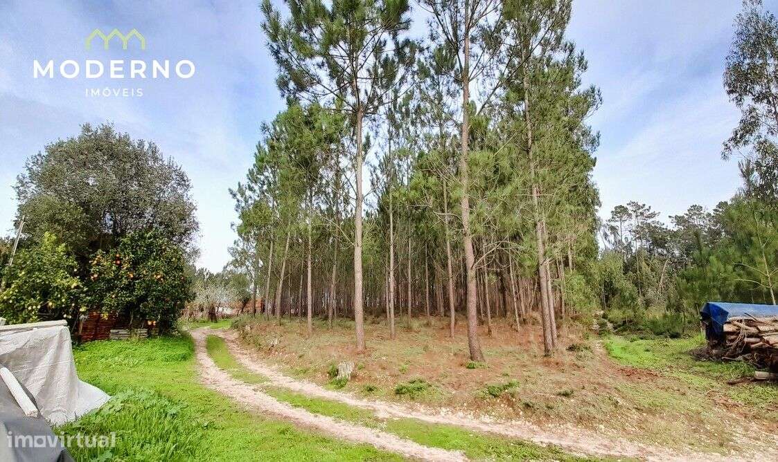 Terreno de Construção – Água Formosa – Ilha - Grande imagem: 3/6