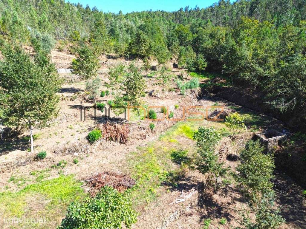 Quinta Isolada com Margem de Rio e Potencial de Eco-Retiro - Arouca-36