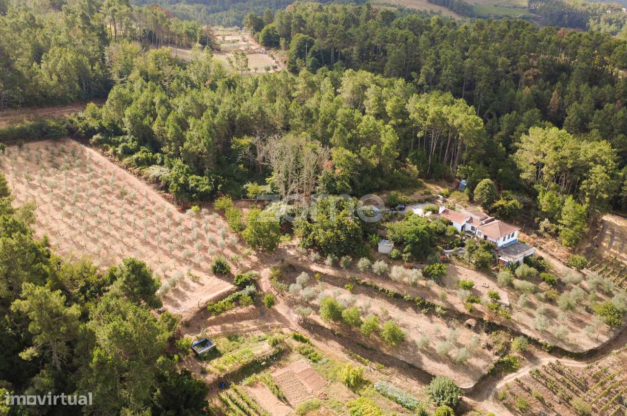 Quinta T3 em Região Demarcada do Douro - Fontelo, Abaças, Vila Real - Grande imagem: 3/25