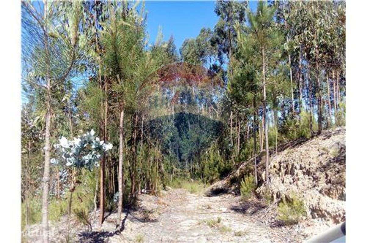 Terreno  para venda - Grande imagem: 3/7