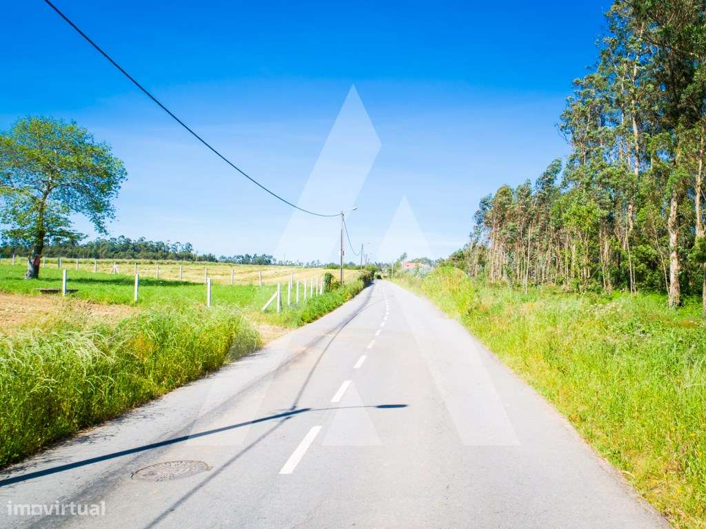 Terreno para construção entre Ovar e Santa Maria da Feira. - Grande imagem: 5/22
