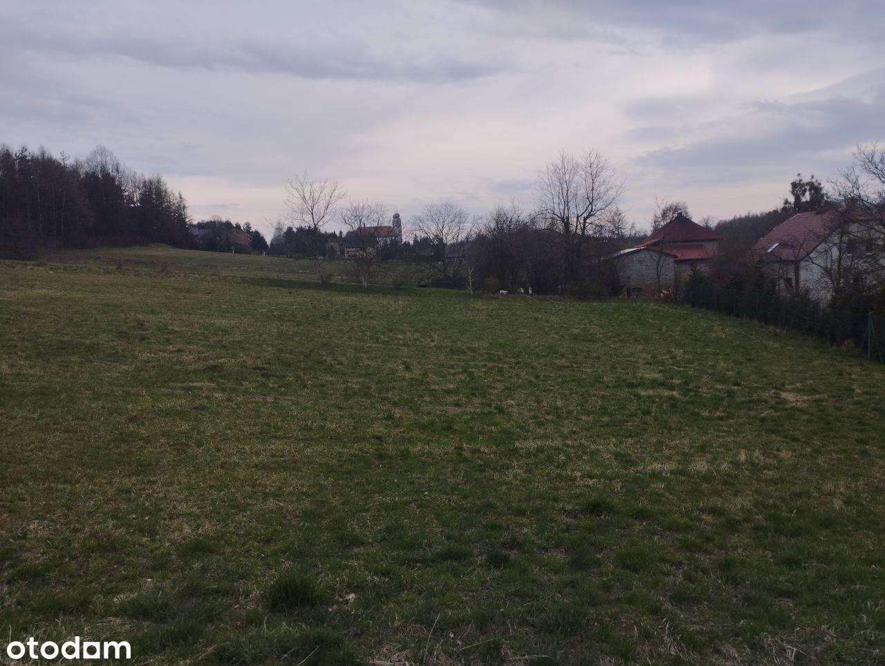 Duża działka w spokojnym miejscu - Pełny obrazek: 5/5