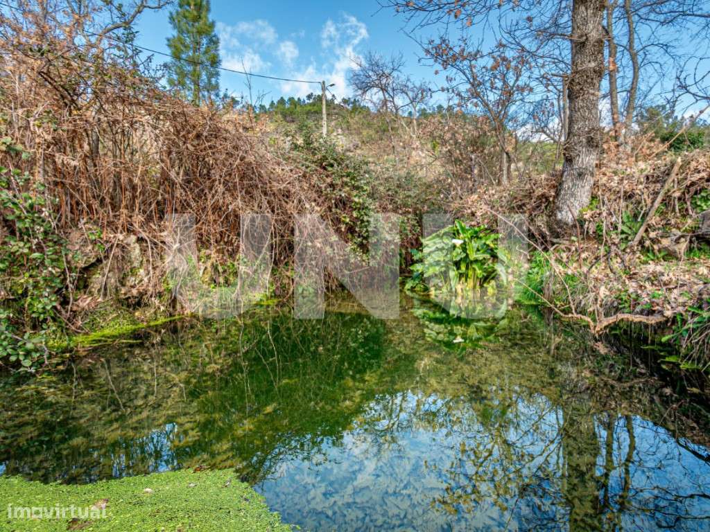Quinta T2 com Habitação, Infraestruturas Agrícolas e Terreno com Vi...-34