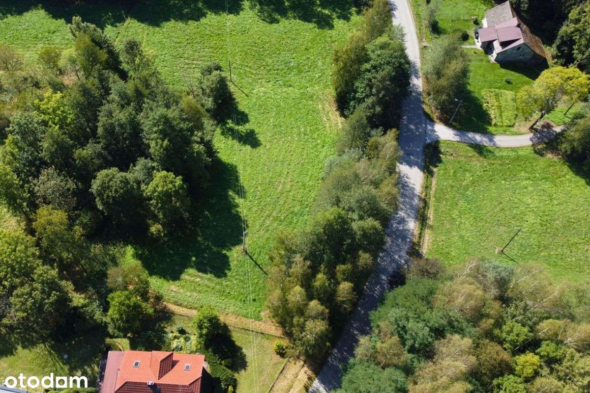 Piękna działka nieopodal dworu w Sierakowie - Pełny obrazek: 4/11