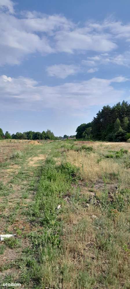 DZIAŁKI BUDOWLANE 648 m², 864 m²  GROSZOWICE - Pełny obrazek: 5/5