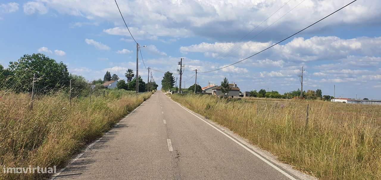 IMPERDÍVEL  Quinta em Foros do Carrapatal, Canha Montijo 51.000m2-8