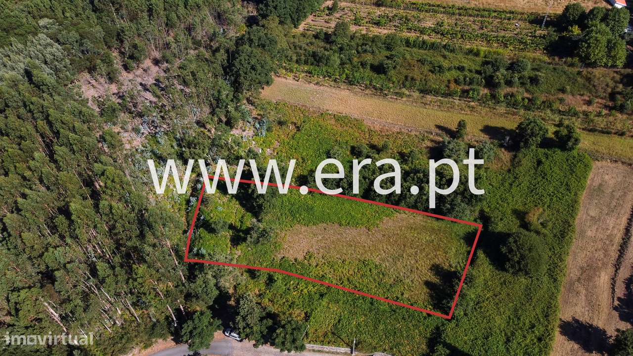 O Seu Futuro Projeto de Agroturismo - Grande imagem: 3/9