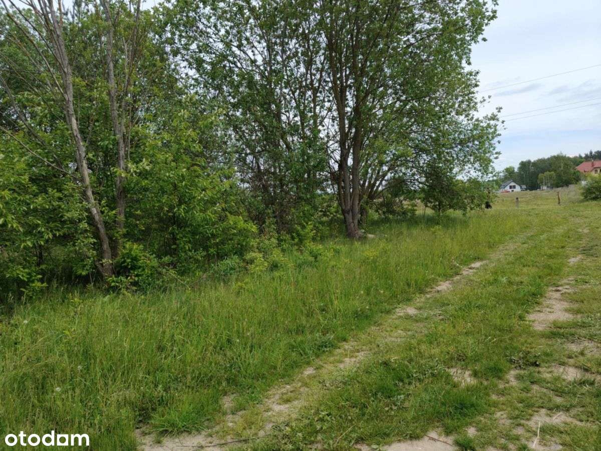 Twoje miejsce na dom marzeń/ Hryniewicze - Pełny obrazek: 5/5