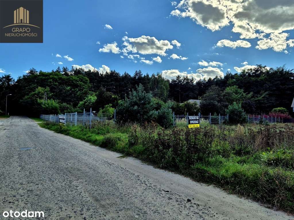 Działka blisko lasu i jeziora - warunki zabudowy-10
