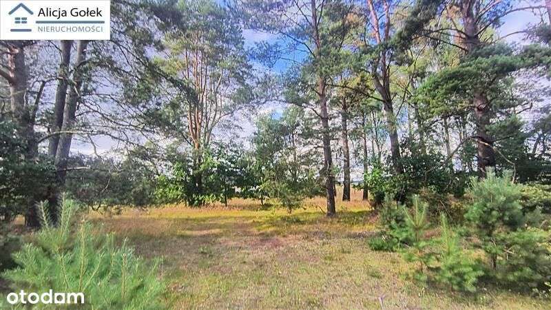 Biały Bór - Kaliska - działka budowlana o pow. 1.2-6