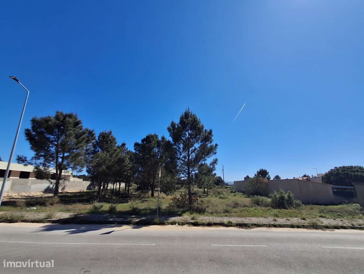 Terreno Urbano 2360m² Quinta do Anjo - Rua Rosa Branca - Grande imagem: 3/8