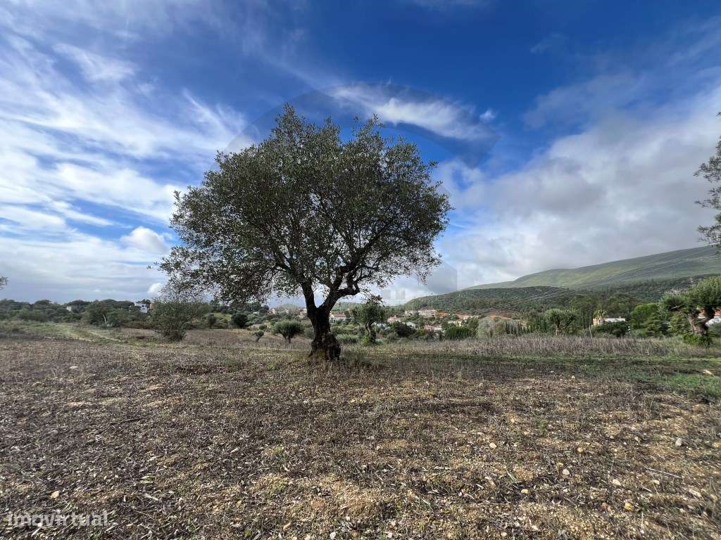 Terreno - Grande imagem: 3/6