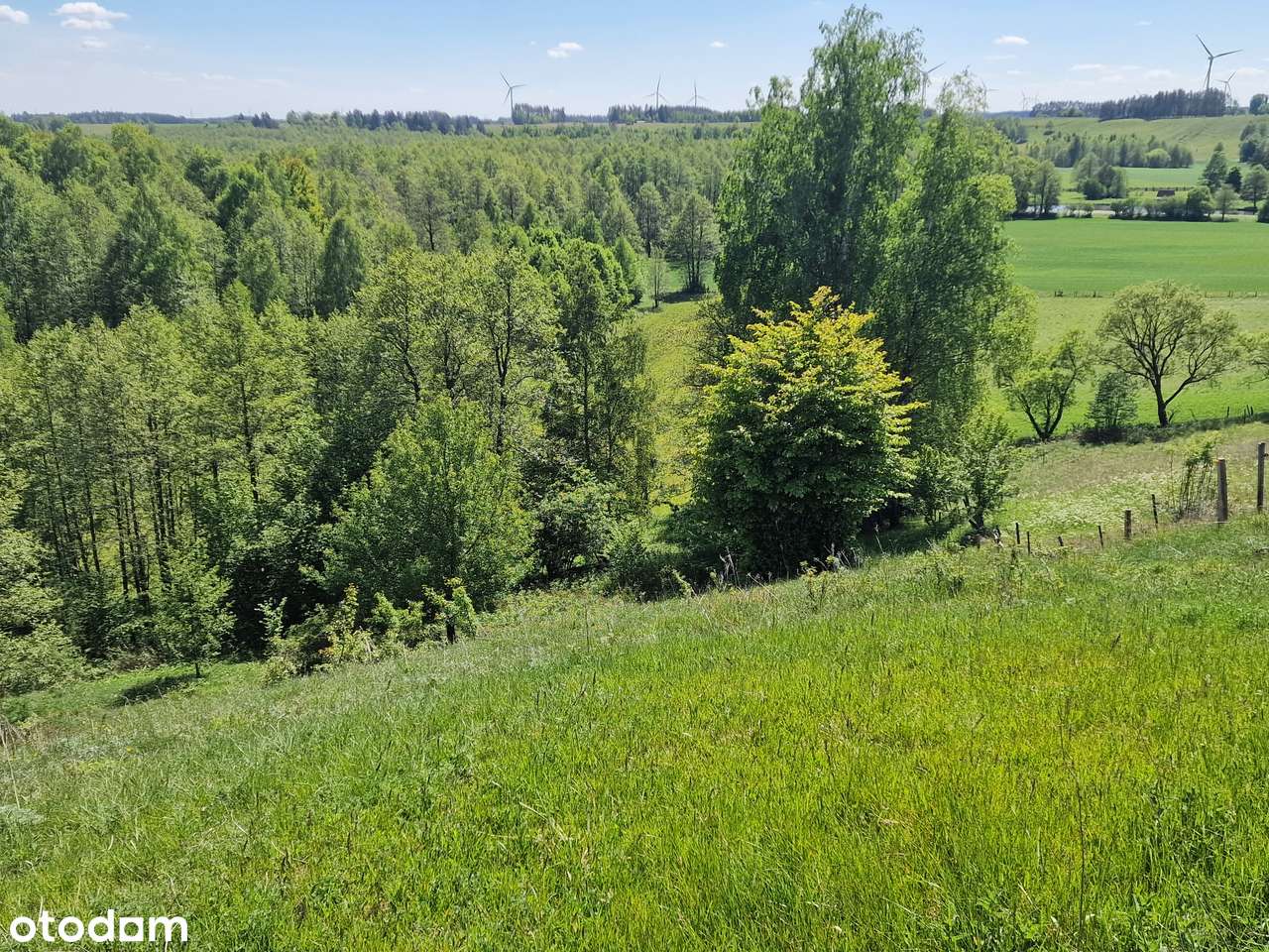 Piękna duża działka. Inwestycja w ziemię. Blisko lasu i wody. - Pełny obrazek: 4/19