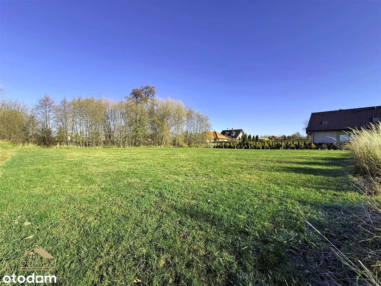 Natura i spokój tuż obok miasta - działka Jaworze - Pełny obrazek: 4/11