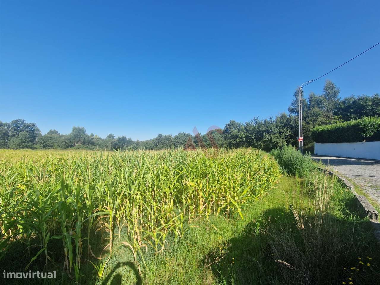 Terreno com 15800 m2 com possibilidade de construção em Serzedelo, Gui - Grande imagem: 5/7