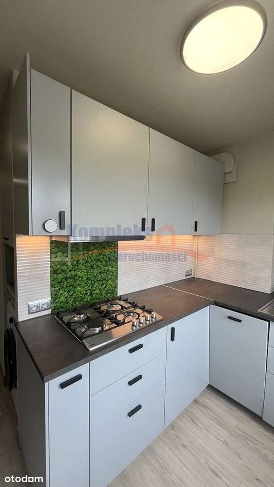 Pogodno - 2 pokoje, balkon -po kapitalnym remoncie-0