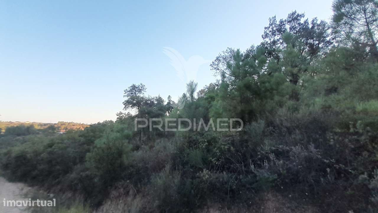 Terreno em Sarzedas - Grande imagem: 4/7