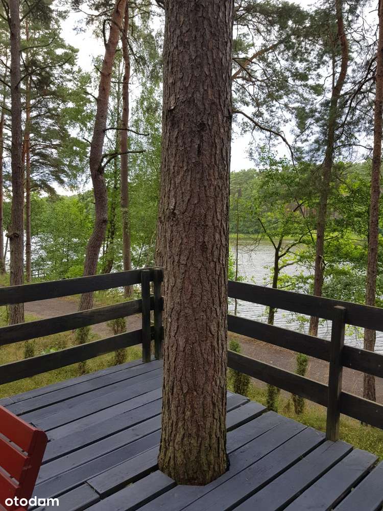 Domek letniskowy BRDA w lesie nad brzegiem jeziora-7