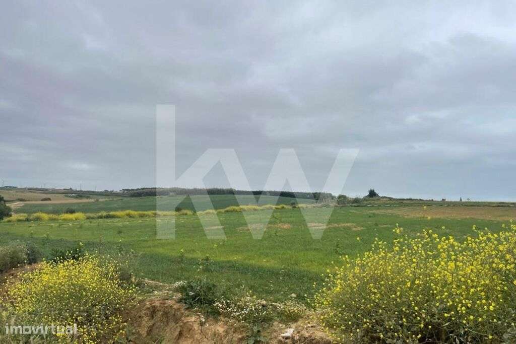 Terreno Agrícola em Peniche com mais de 5ha - Atouguia da Baleia - Grande imagem: 2/14