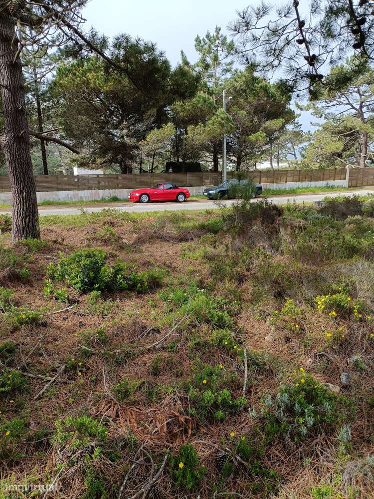 Terreno urbano 570m2 na zona de Falca perto da praia e rodeada de espa - Grande imagem: 5/25
